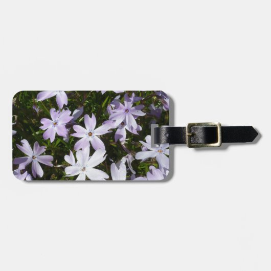 フロックス属の花 ラゲッジタグ (正面横)
