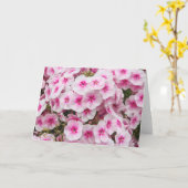 フロックス。ウェールズのカーディフ州Friary Gardens。 カード (黄色い花)