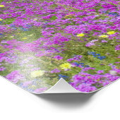 フロックス、ブルーボンネットの分野の木製カート フォトプリント (角)