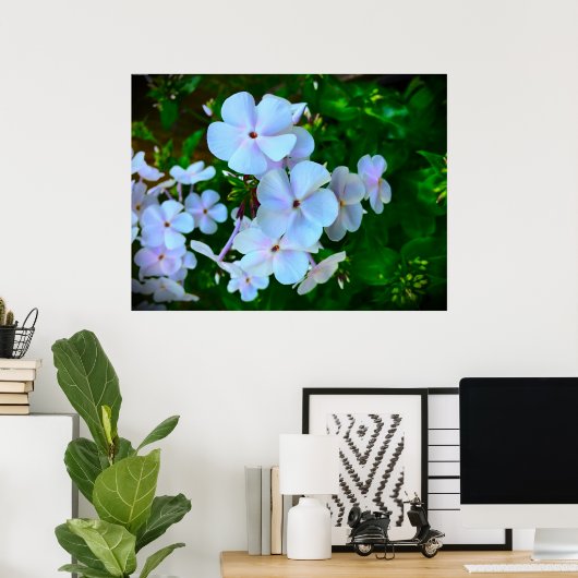 フロックス、 ポスター (ホームオフィス)