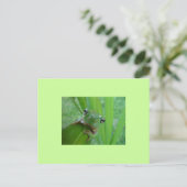 フロッグはがき ポストカード (スタンド正面)