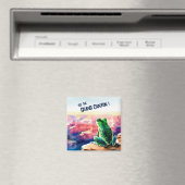 フロッグアットザグランドキャニオン マグネット (インサイチュ (食洗機))