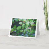 フロッグインリーフ池ポートレート カード (正面)