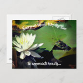 フロッグウォーターリリー美しい 感動的 ポストカード (正面/裏面)