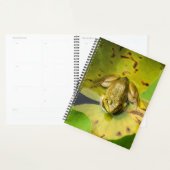 フロッグスパイラル週刊/月刊プランナー プランナー手帳 (ディスプレー)