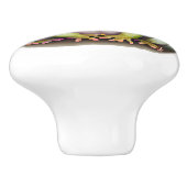 フロッグドレッサー引出しノブの引っ張り セラミックノブ (側面)