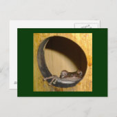 フロッグハウス ポストカード (正面/裏面)