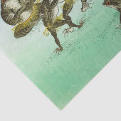 フロッグレスリングバイオラコソン 薄葉紙 (詳細)