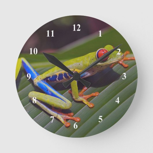 フロッグ赤目写真 ラウンド壁時計 (正面)