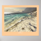 フロッサム ポスター (正面)