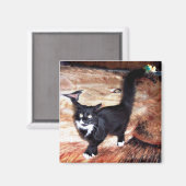 フロッシー マグネット (正面/裏面)