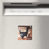 フロッシー マグネット (インサイチュ (食洗機))