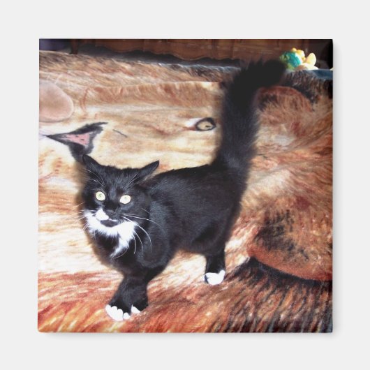 フロッシー マグネット (正面)