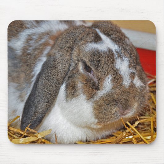 フロッピーエイドバニー マウスパッド (正面)