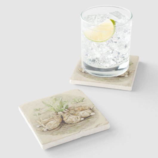 フロッピーバニー眠っている(Beatrix Potter) ストーンコースター (横)