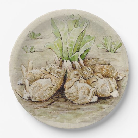 フロッピーバニー眠っている(Beatrix Potter) ペーパープレート (正面)