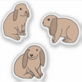 フロッピー付きバンニ シール (正面)