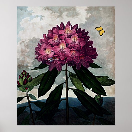 フロラロドデンドロンの植物芸術の寺院 ポスター (正面)