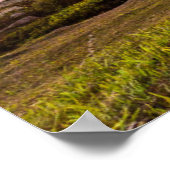 フロリアノポリスのビーチの日の出 ポスター (角)