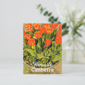 フロリアードキャンベラオーストラリア花チューリップフェスティバル ポストカード (スタンド正面)