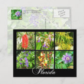 フロリカラフルダの開花 ポストカード (正面/裏面)