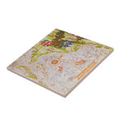 フロリダおよびアンチル諸島の地図 タイル (側面)