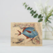 フロリダからこんにちは ポストカード (スタンド正面)