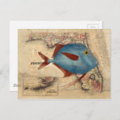 フロリダからこんにちは ポストカード (正面/裏面)