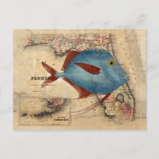 フロリダからこんにちは ポストカード