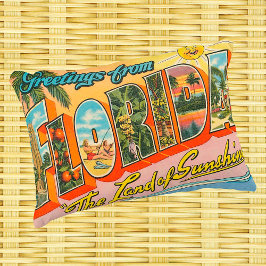 フロリダからの挨拶ヴィンテージスタイル アクセントクッション