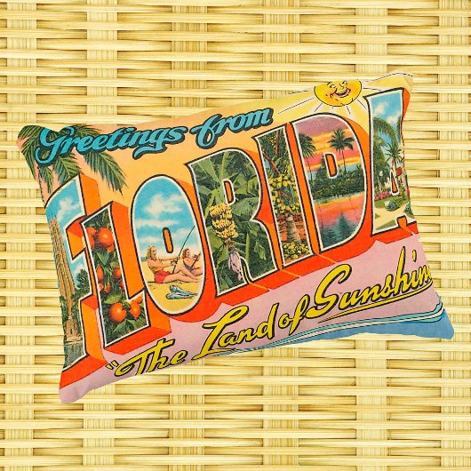 フロリダからの挨拶ヴィンテージスタイル アクセントクッション