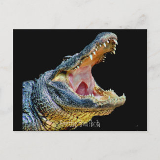 フロリダからの挨拶 ポストカード