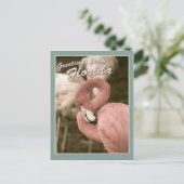 フロリダからの挨拶 ポストカード (スタンド正面)