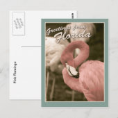 フロリダからの挨拶 ポストカード (正面/裏面)