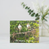 フロリダからの挨拶! ポストカード (スタンド正面)