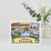 フロリダからの挨拶、低い湾岸旅行 ポストカード (スタンド正面)