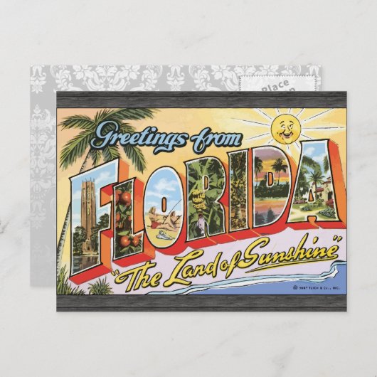 フロリダからの挨拶"太陽の国", Vin ポストカード (正面/裏面)