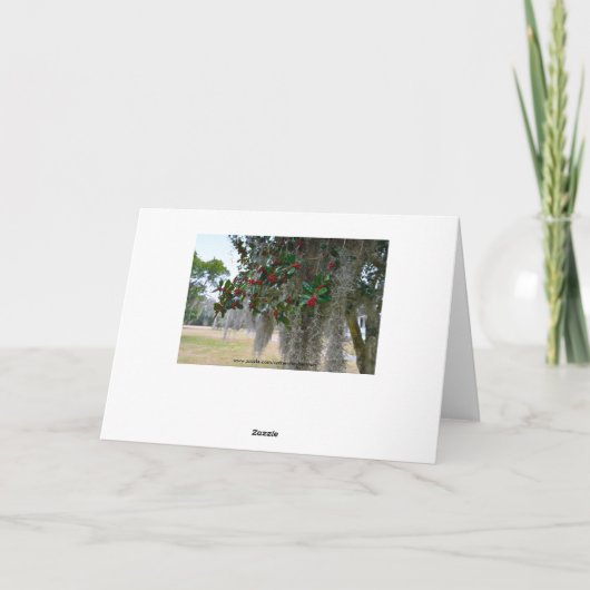 フロリダからの聖降誕祭お目出度う シーズンカード (裏面)