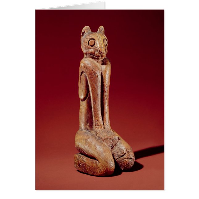 フロリダからのMarco主猫、 (正面)