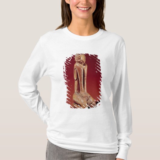 フロリダからのMarco主猫、 Tシャツ (正面)