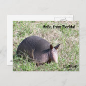 フロリダから！ ポストカード (正面/裏面)