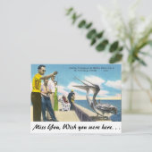 フロリダでのペリカンの餌やり ポストカード (スタンド正面)