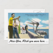 フロリダでのペリカンの餌やり ポストカード (正面/裏面)