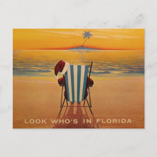 フロリダにいる人を見る シーズンポストカード (正面)