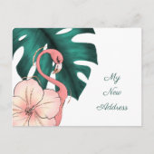 フロリダに移動するピンクのフラミンゴモンステラの葉 案内ポストカード (正面)