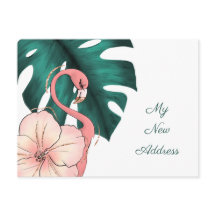 フロリダに移動するピンクのフラミンゴモンステラの葉