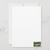 フロリダに突き刺さるガゼボの裏砦 招待状 (裏面)