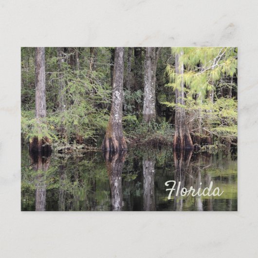 フロリダのはがき ポストカード (正面)