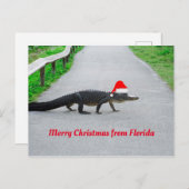 フロリダのアリゲーターからメリーおもしろいクリスマス ポストカード (正面/裏面)