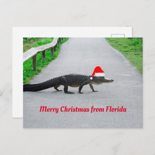 フロリダのアリゲーターからメリーおもしろいクリスマス ポストカード (正面/裏面)